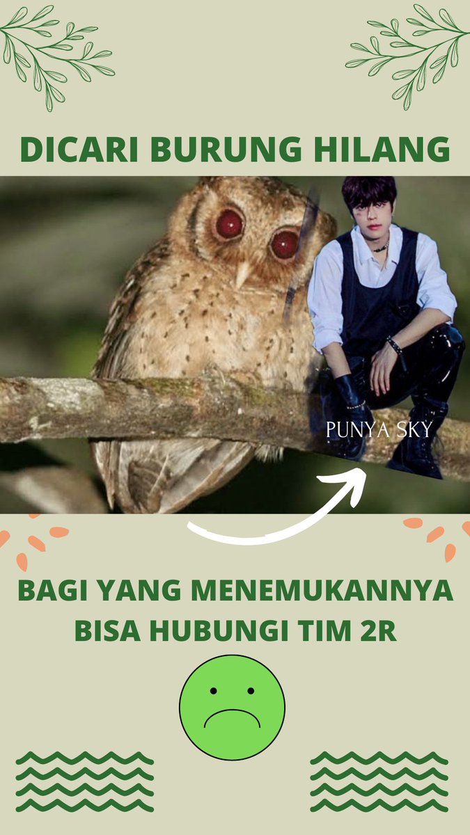 Ibu-ibu bapak-bapak
Siapa yang nemu burung
Lapor kami kami kami yang sedang pusing
Sama burungnya si Sky