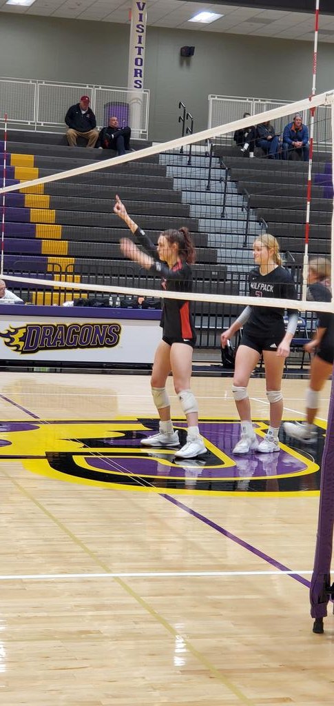 Bobcat Volleyball tweet media