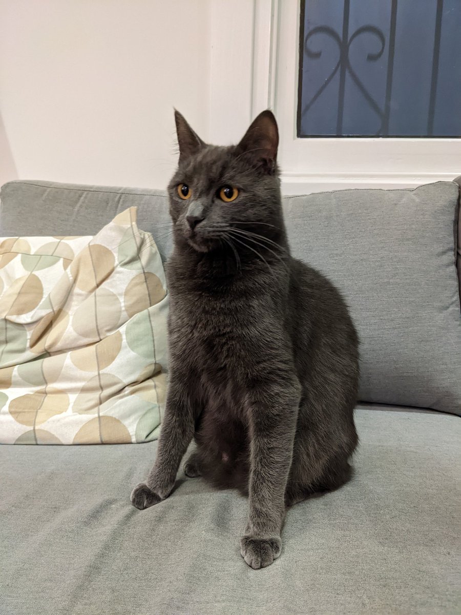 Hamish Hawthorn tweet media