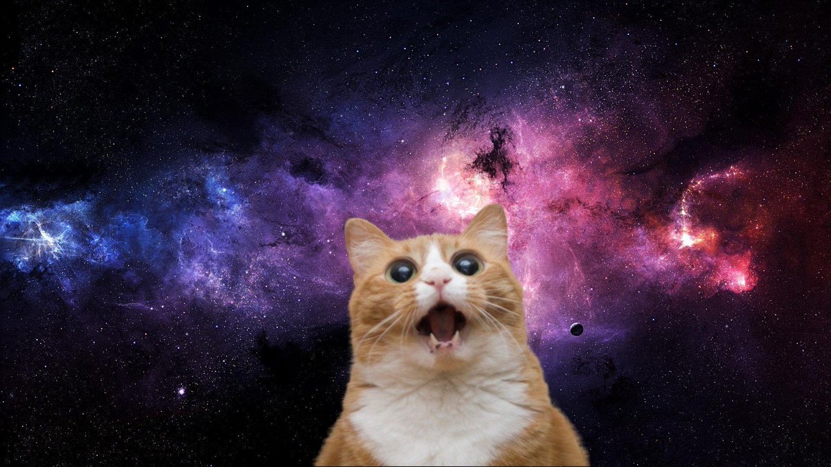 ItsSpaceCats's tweet photo. https://t.co/JiL3KL4neb