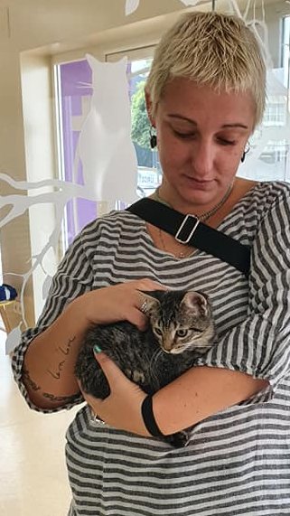Remember our poorly #kitten Tommy? He had a tough start in life but has now found his #foreverfamily! Have a wonderful life, sweet boy 🥰 #adoptdontshop #catrescue #javea #CatsOnTwitter #Cat