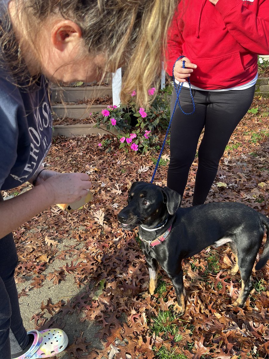 Pit of Our Souls Rescue tweet media