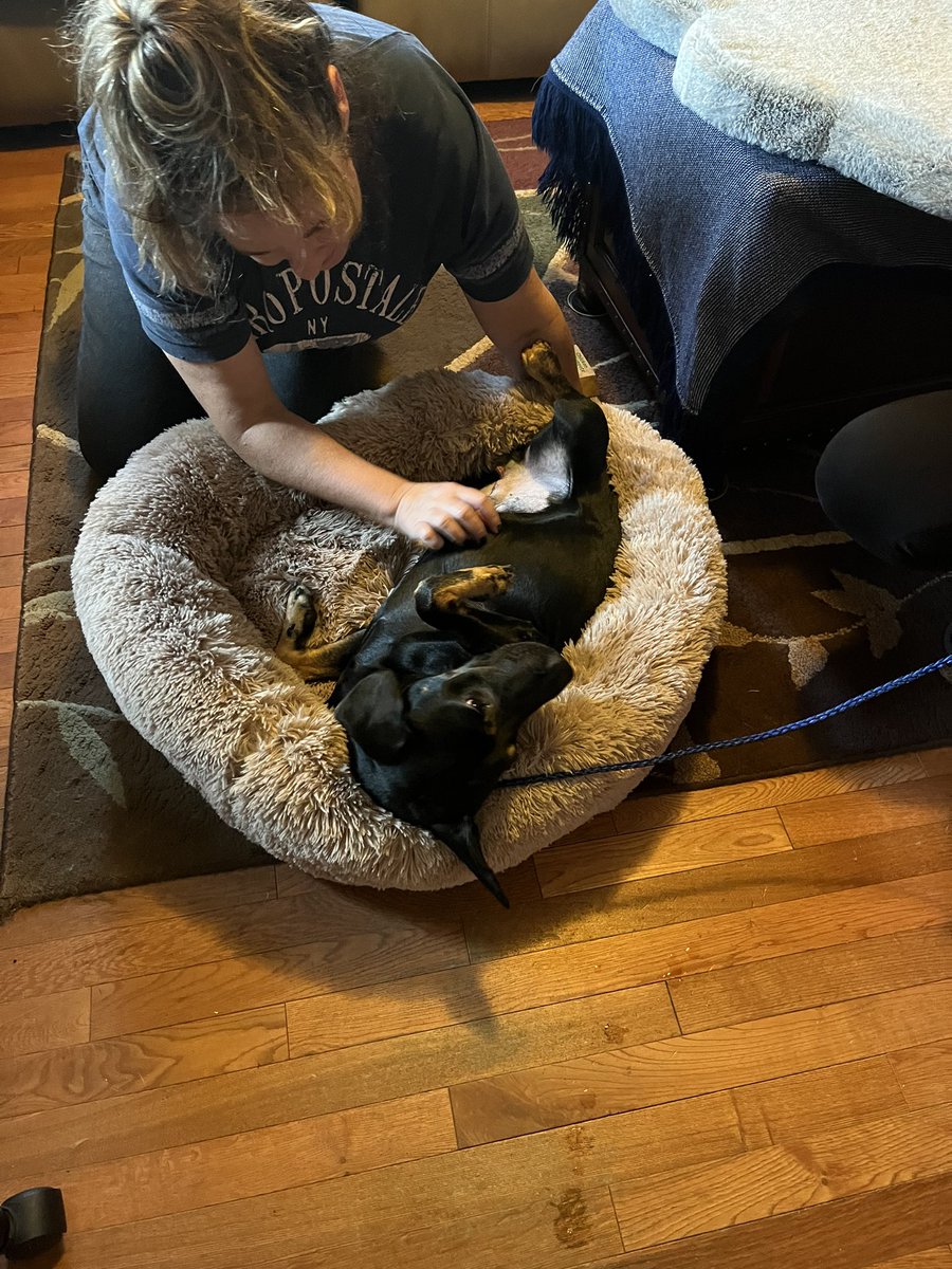 Pit of Our Souls Rescue tweet media