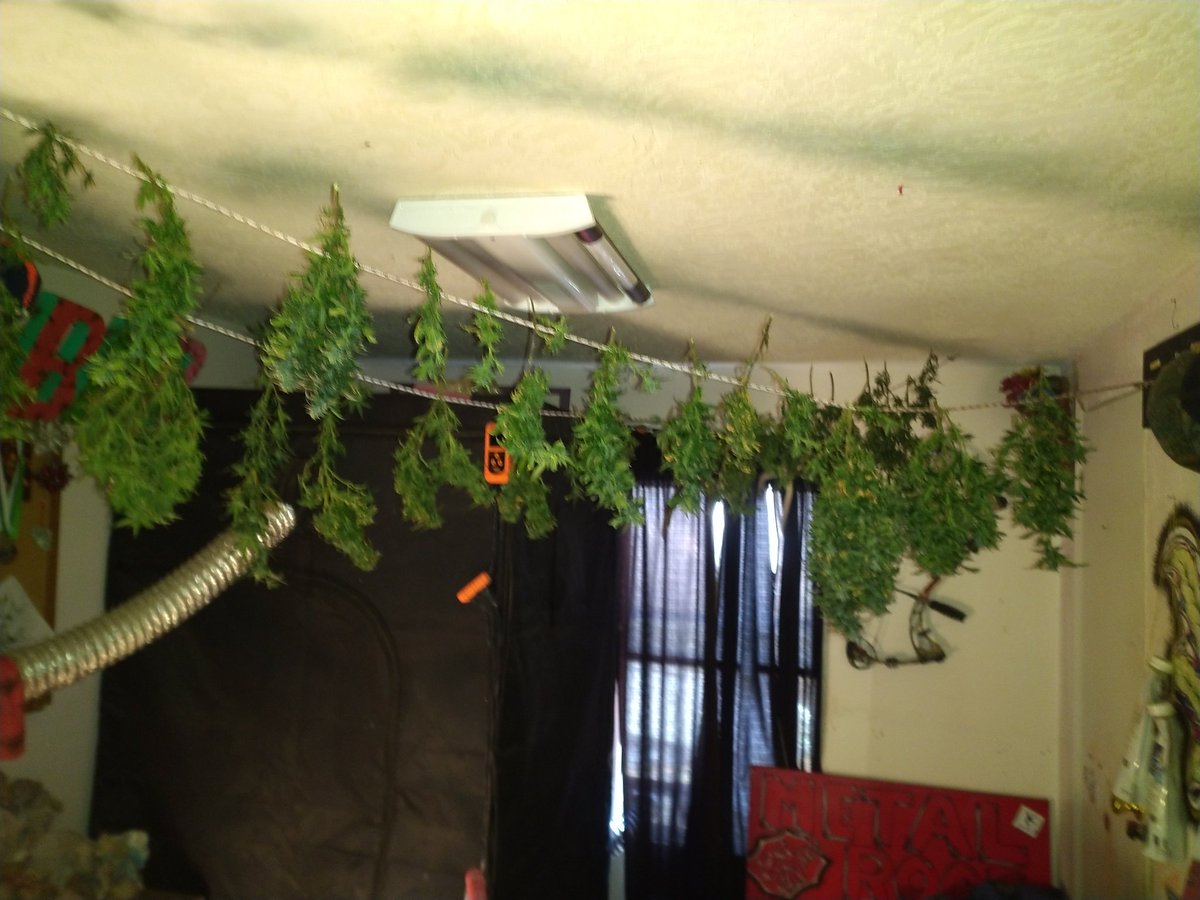 tideewhitee tweet media