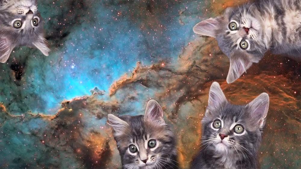 ItsSpaceCats's tweet photo. https://t.co/jrPkzpwVRs
