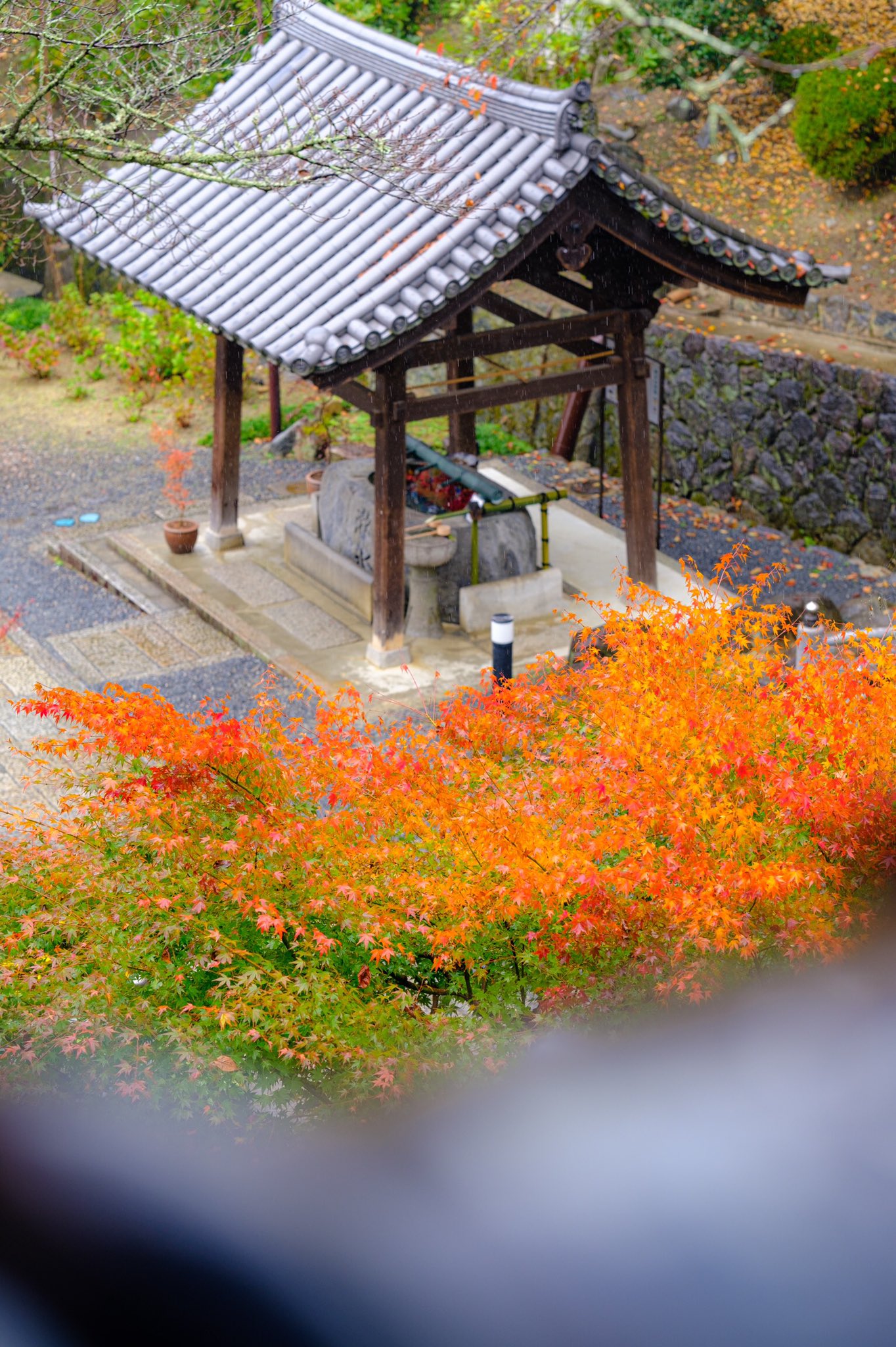 西国第七番 岡寺 Okadera3307 Twitter