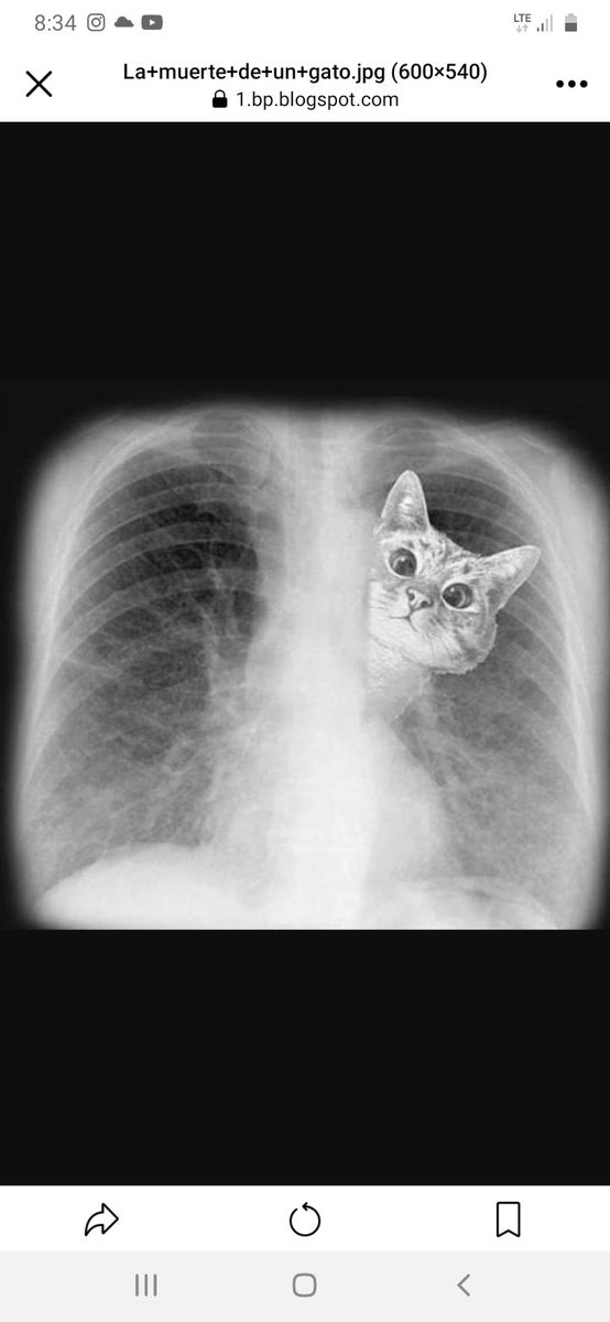 Francisco (@fran231406) on Twitter photo 