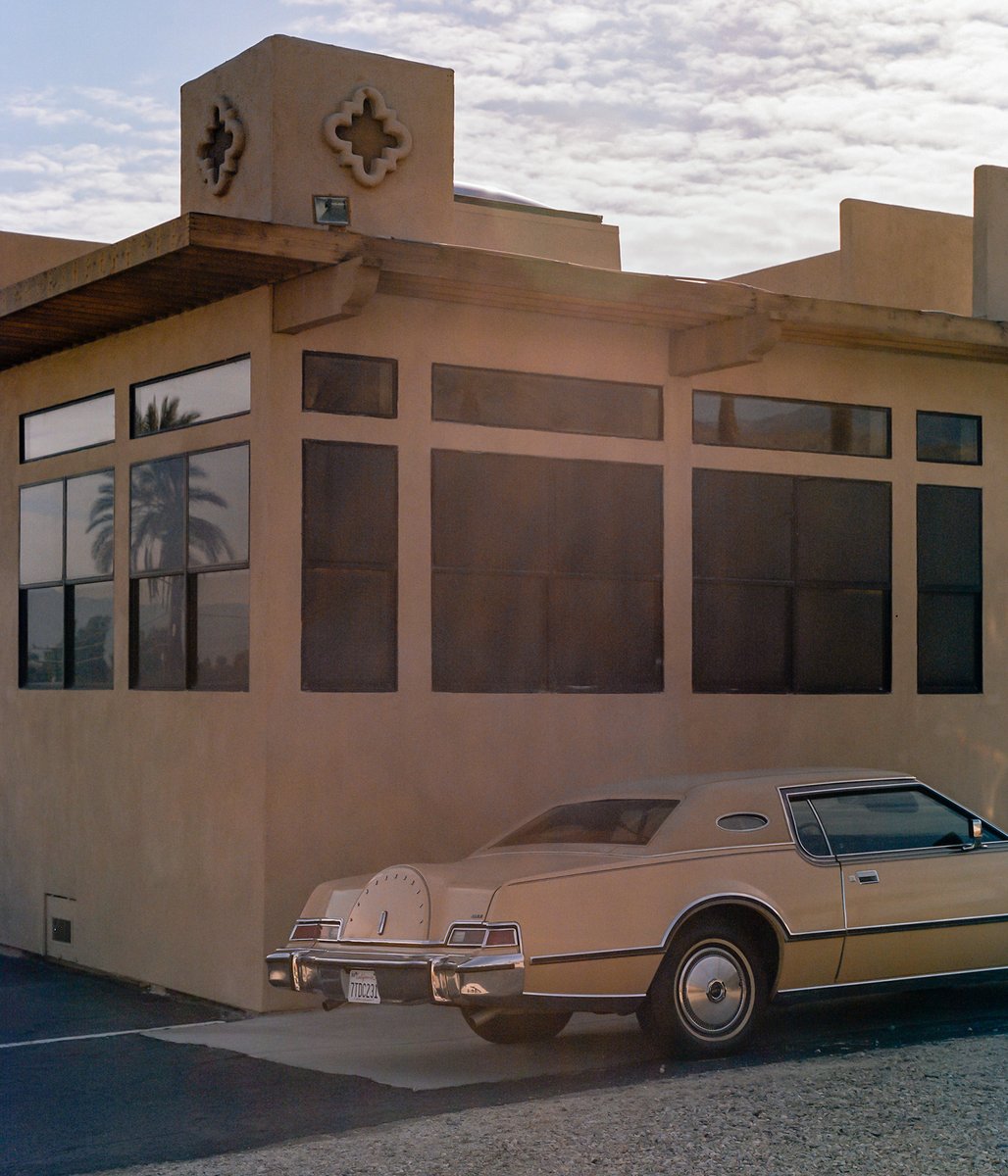 Palm Springs muscle &amp; a cat