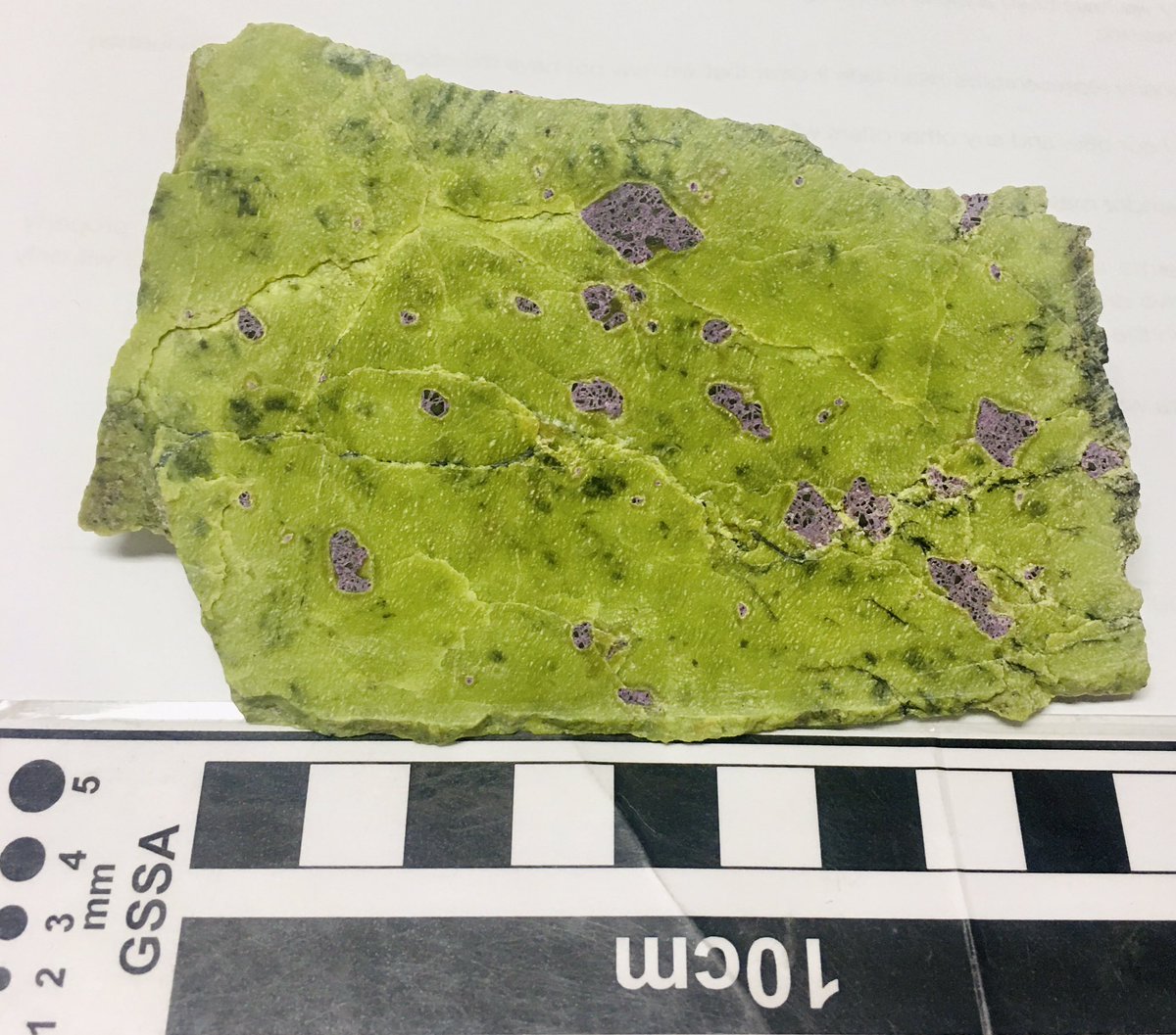 WeiHong86's tweet photo. Robed a piece of rock from my supervisor’s office, characterised by stichtite (purple) in serpentine (yellow-green), from the Dundas field of western Tasmania. Stichtite is a rare chromium-magnesium carbonate with a standard formula: Mg6Cr2CO3(OH)16•4H2O. Look at the beauties! https://t.co/QT4w4p16yq
