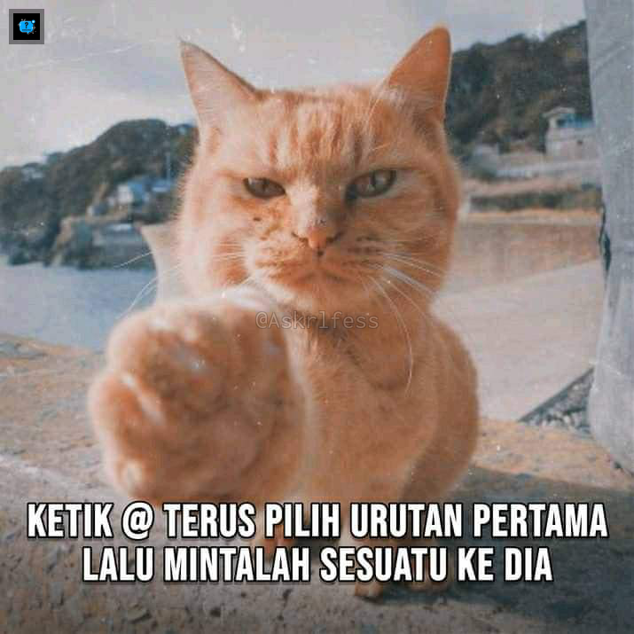 Askrlfess tweet media