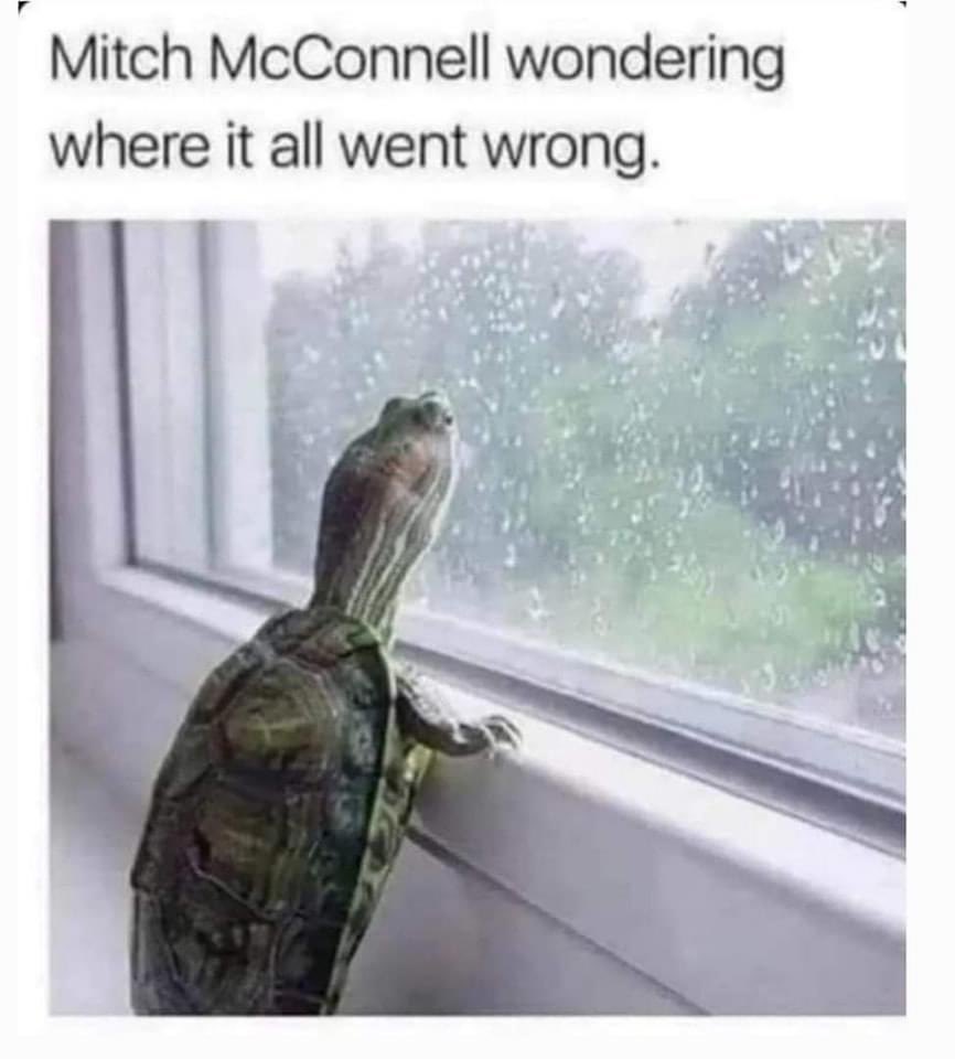 rmw428's tweet photo. @middleageriot Fuck #McTurtle
๐ข๐ข๐ข๐ข๐ข๐ข๐ข๐ข๐ข๐ข
๐๐๐๐ https://t.co/v0DmFCh9hl