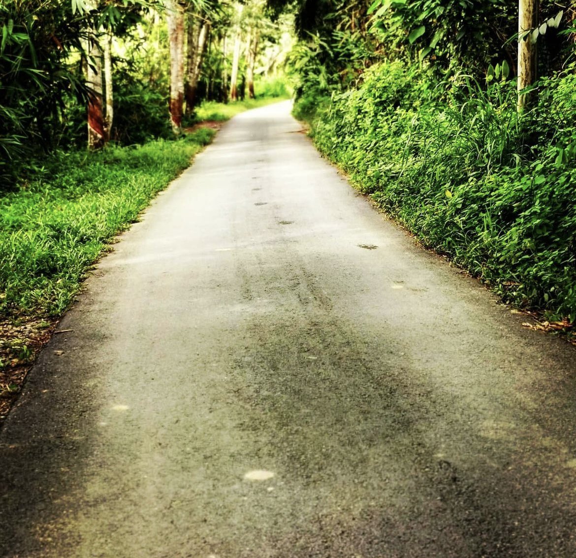 Rashmit Kaur Bhullar Harjeet Singh tweet media