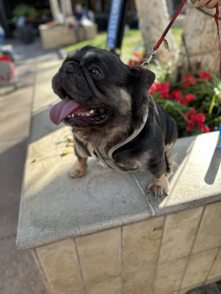 robertschultz's tweet image. I met this guy today.