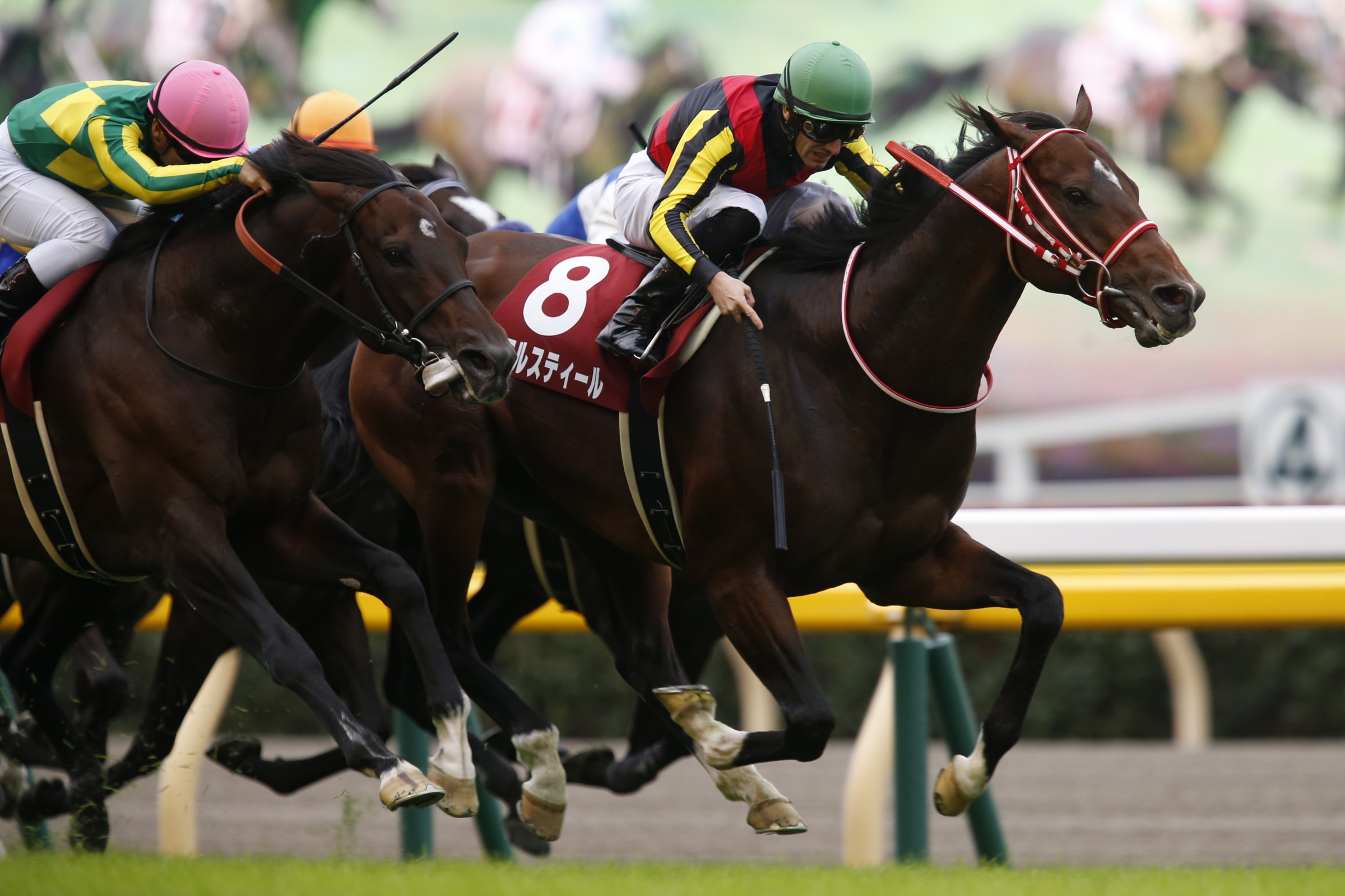 まねき馬倶楽部 ドゥラメンテ まねき馬カードの部屋－カードリスト