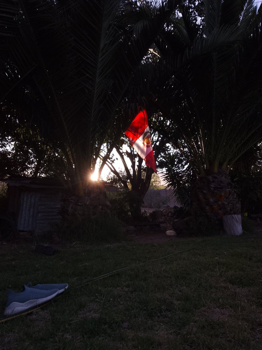DanielaDiazLop4's tweet photo. He experimentado muchas cosas en mi nuevo hogar y amo cada día que pasó aquí. Agradezco a Dios por este regalo TAN hermoso, por lo afortunada que soy... #misegundohogar #viviendoenperu https://t.co/gQwPMnTWht