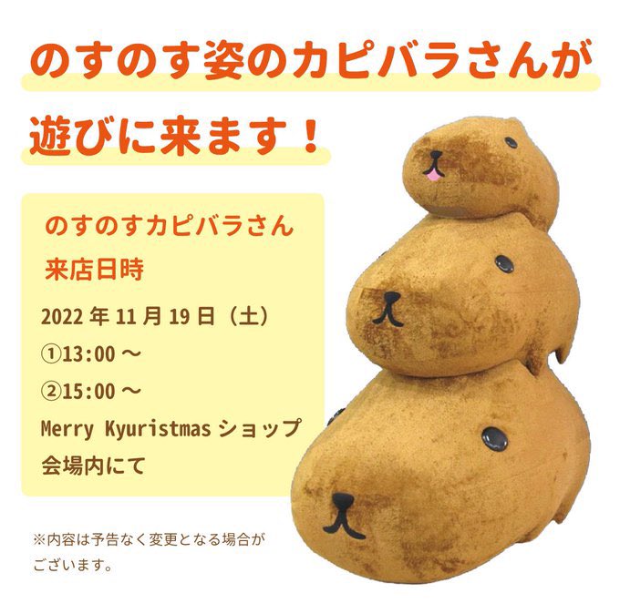 画像まとめ カピバラさん 日付順 15ページ目 アニメレーダー