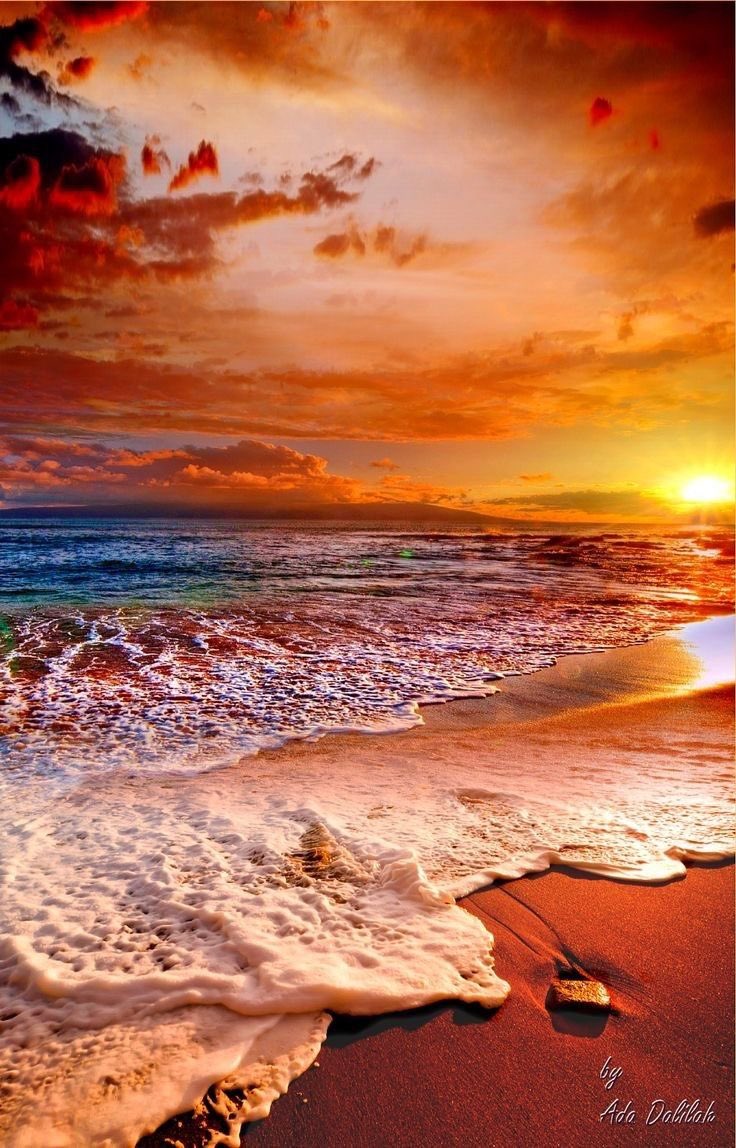 Aynur M. Akyaz (@aynurmakyaz) on Twitter photo 