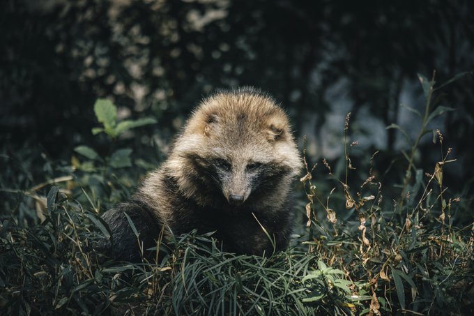 Tpjusnbap Luem Tpjusnbap Luem