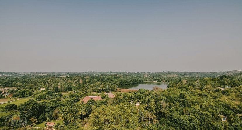 From a tiny seed grows a mighty tree! Today is the founding day of Ved Vignan Mahavidya Peeth, the first organisation of the <a href="/ArtofLiving/">The Art of Living</a>. From this seed planted by Gurudev <a href="/SriSri/">Gurudev</a>, a wave of joy, service &amp; spirituality has spread to over 180 countries. <a href="/BangaloreAshram/">Art of Living International Center</a>
