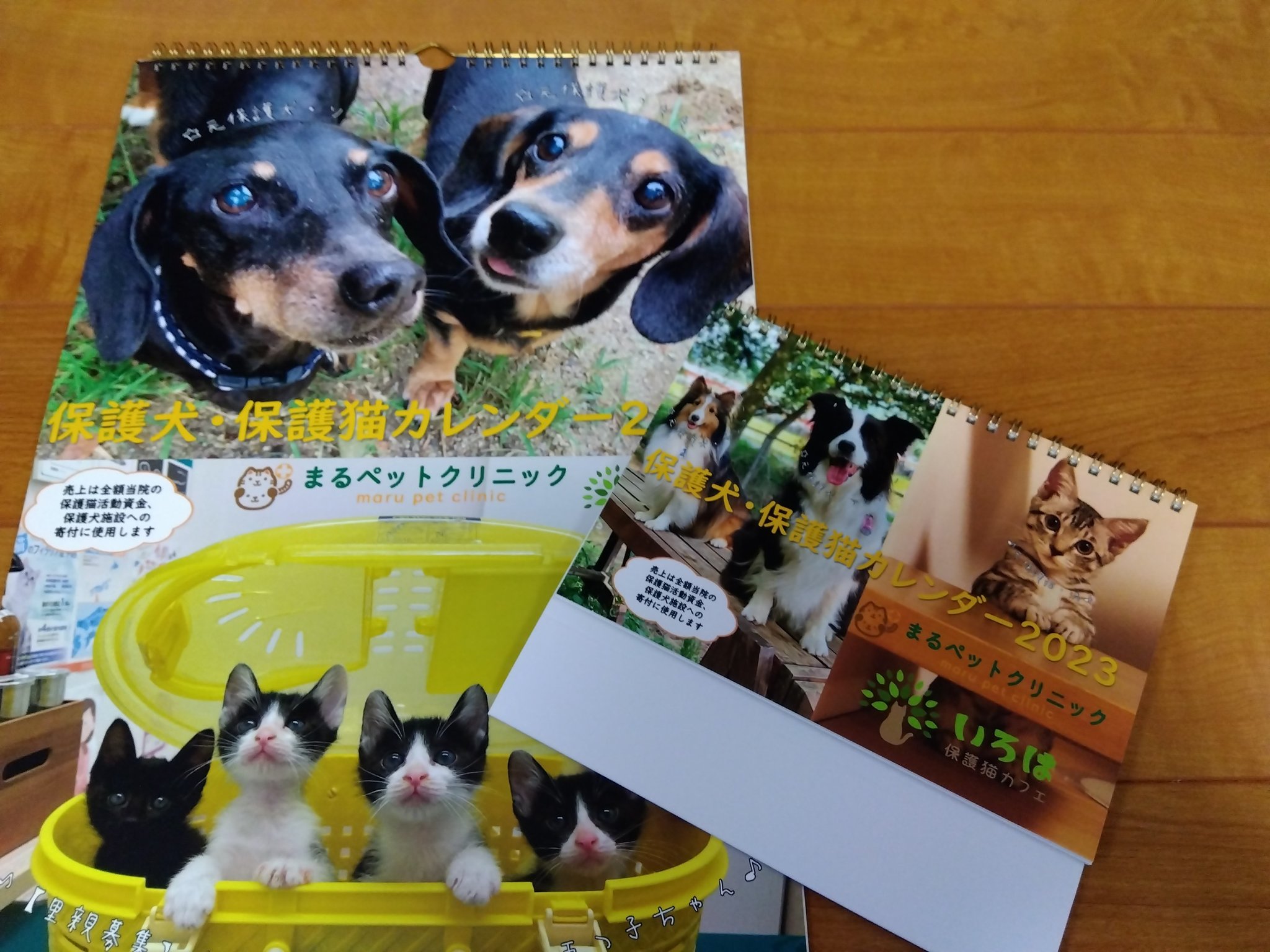 公式 まるペットクリニック Marupetclinic Twitter