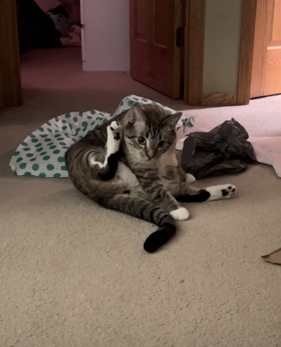 ItsMeDeaner's tweet image. Ya gotta do what ya gotta do