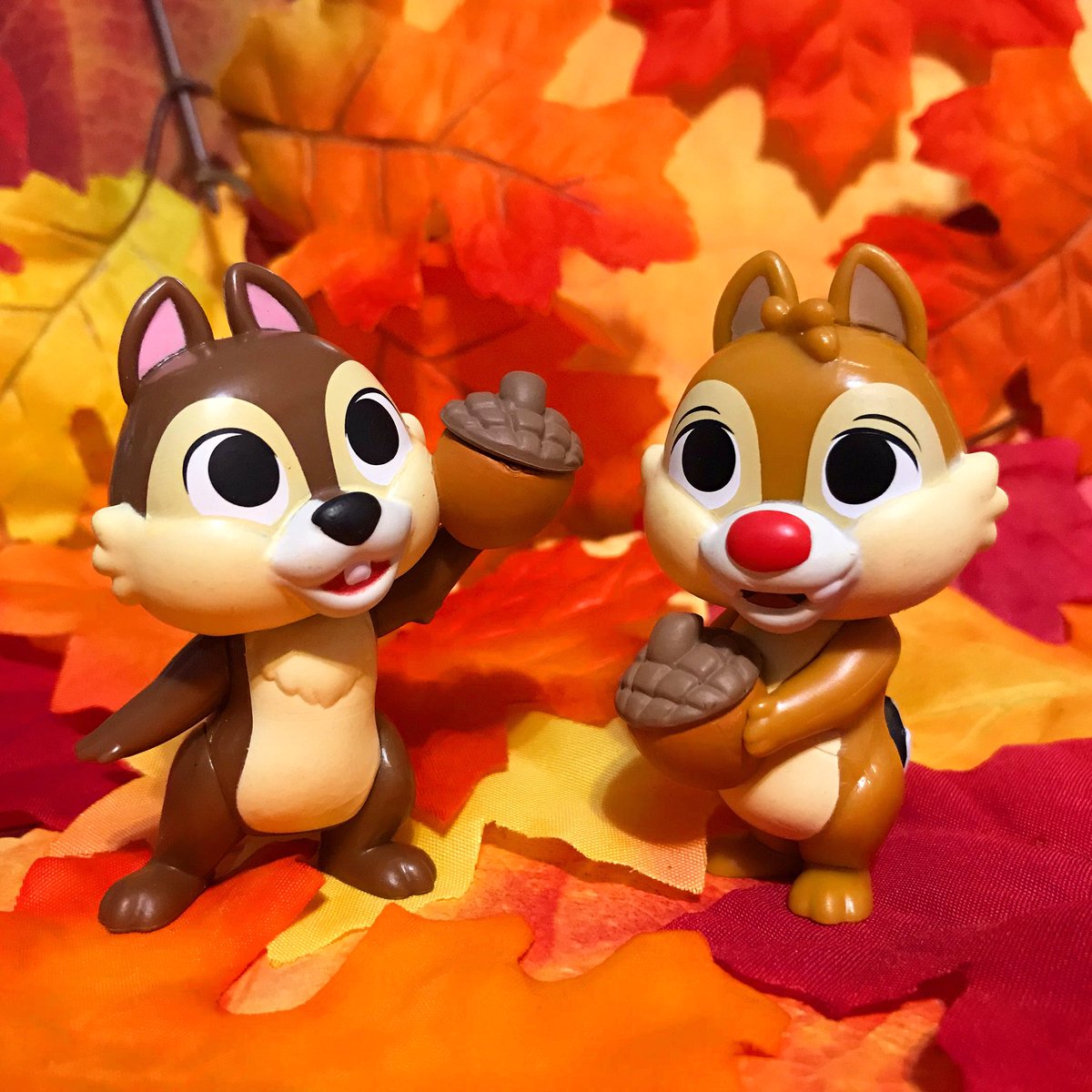 @originalfunko #FunkoPhotoADayChallenge 
Fall Colors 🍂🐿🍁🐿🍂

#fallcolors #happyfall #fallleaves 
#FunkoPhotoADay #funkofamily #funaticofthemonth #disney #chipanddale