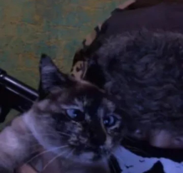 doxxcat's tweet photo. Nazismo, crueldade com animais, etc.
Os dados do rapaz estão abaixo, para quem quiser chamar ele no WhatsApp.
Segue o fio. 🧶 https://t.co/GJc19wqCUC
