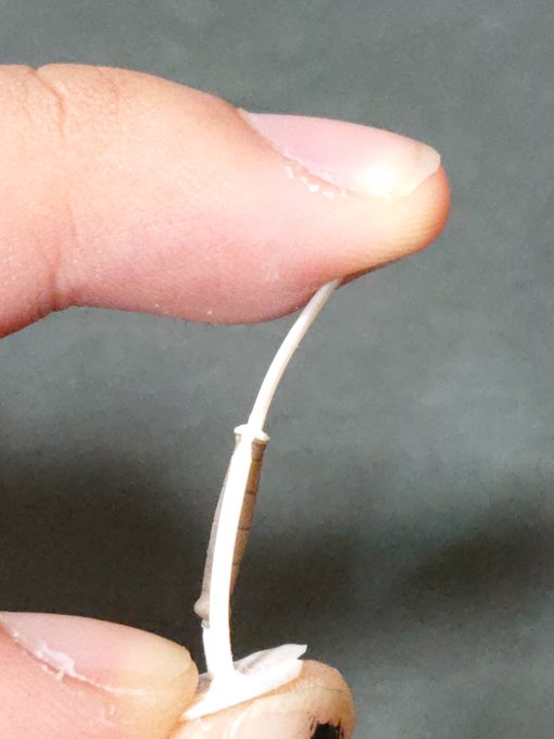 #ショーコABS風レジンはヤバい 