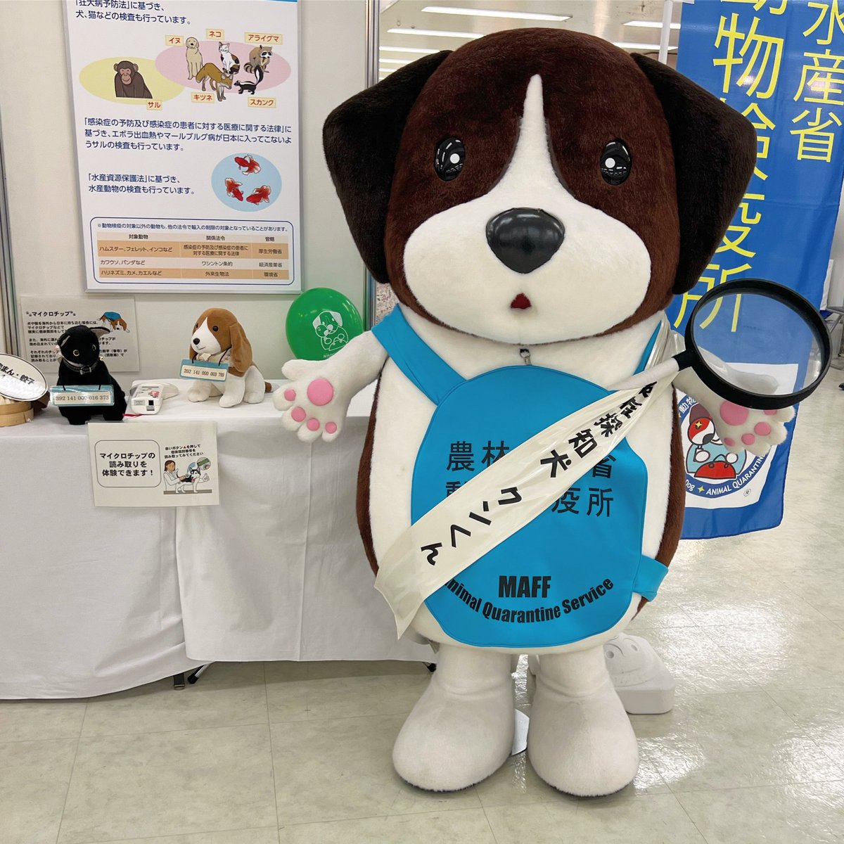 Mondo Mascots on Twitter "I ran into Kunkun, the mascot for