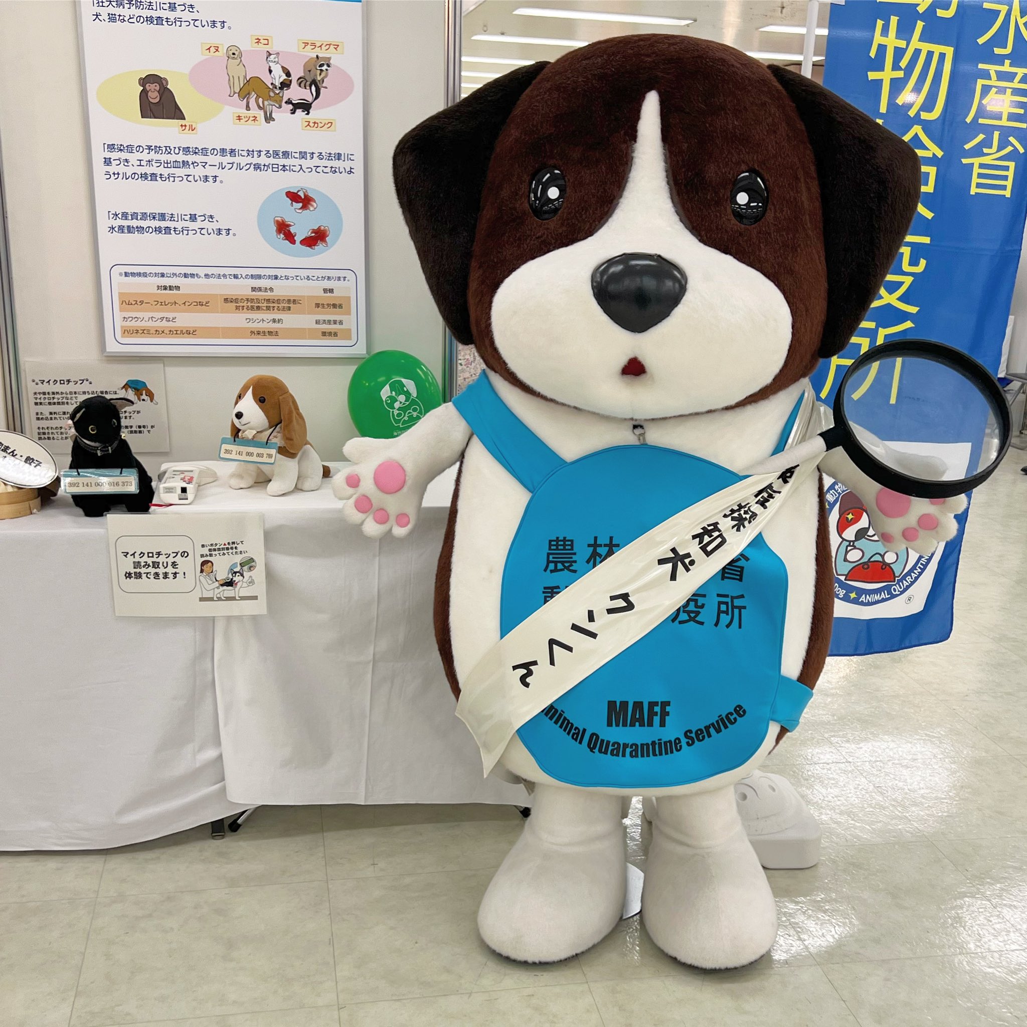 Mondo Mascots I Ran Into Kun Kun The Mascot For Quarantine Dogs Who Detect Meat Fruit In Luggage At Airports In Japan To Prevent The Spread Of Diseases And Pests T Co Eypqfpuxu2