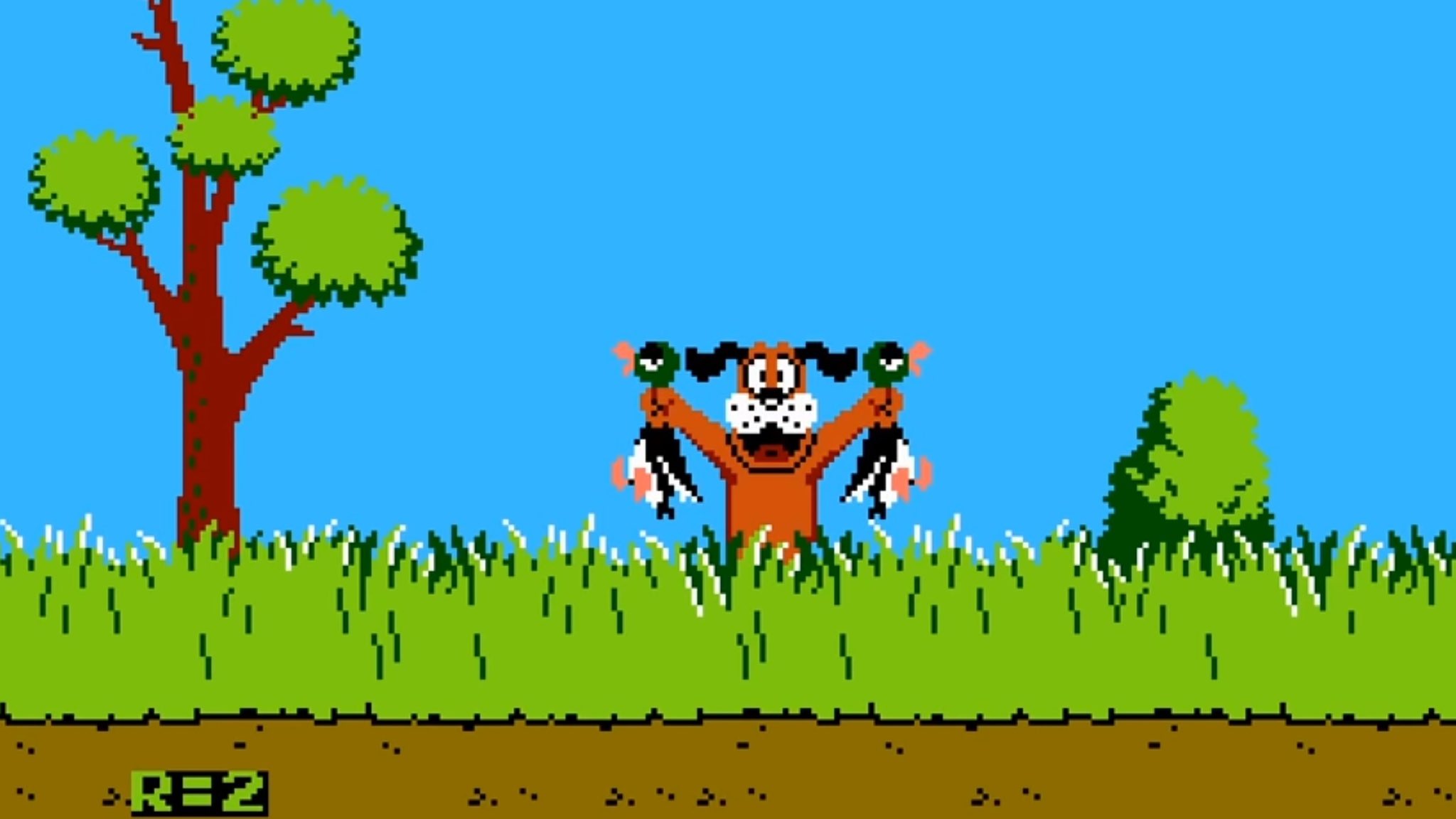 Duck Hunt последний уровень