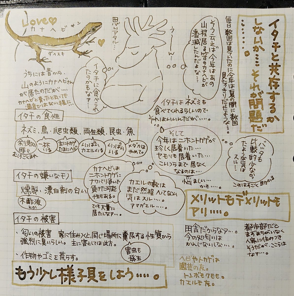 昨日はいたちを家の回りで見たので、手元の園芸日記にまとめてました。いたち!!目がよかったらもっとはっきり見えたのになー。走っていく姿だけなら何度も見てたけど、じっと立ち止まってるの初めて見た。#私的手帳覚書 #園芸覚書 