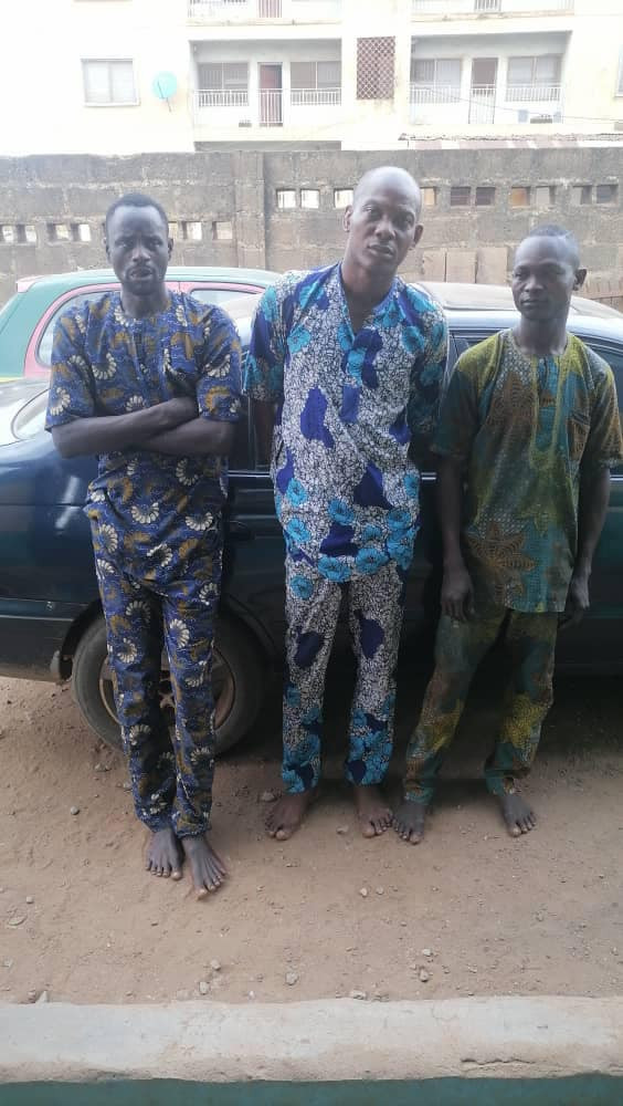 Delsu_Official's tweet photo. Car thieves arrested in Ogun state https://t.co/vFyaiZWTnv https://t.co/cRxD0K9DpU