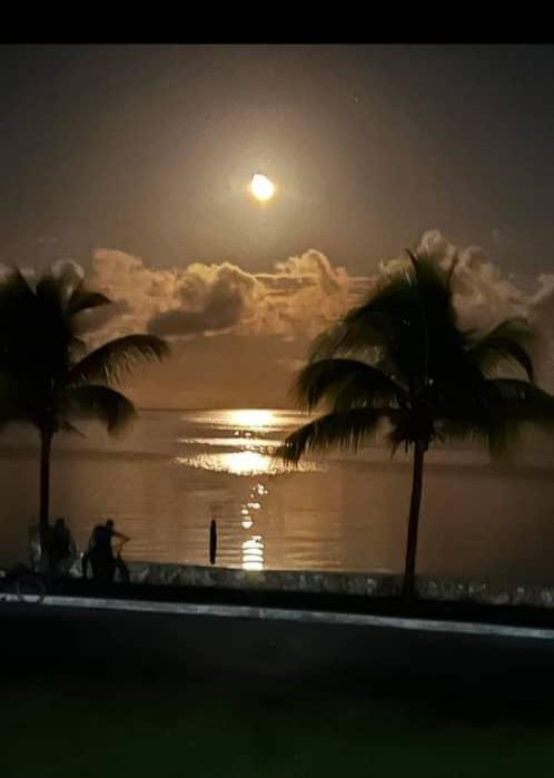 Mariposa marinera
D la noche confidente
Besas el mar y presiente
La madrugada tu espera
D mil sueños hechicera
La nube lleva el olor
D tu luz cuando el color
D cada reflejo evoca
Dulce el recuerdo en mi boca
Del primer beso de amor

🌹Mi Caibarién
Gracias a mi hermana por la foto