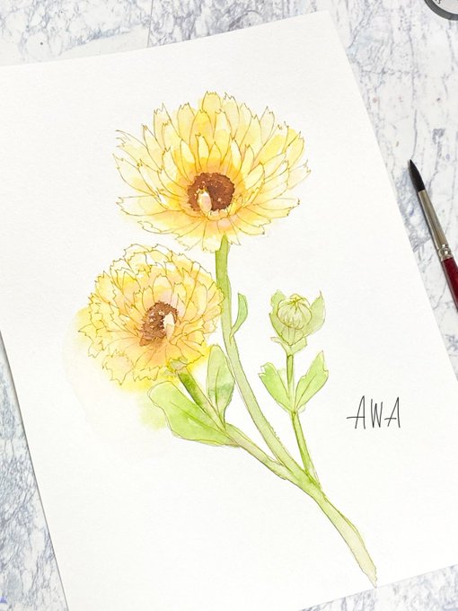 優しい黄色のお花の水彩画! 