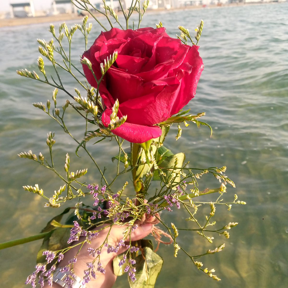 "بعض الأصدقاء أماكن آمنة، ثابتة، صادقة للجوء إليها دومًا دون تردد أو حيرة."