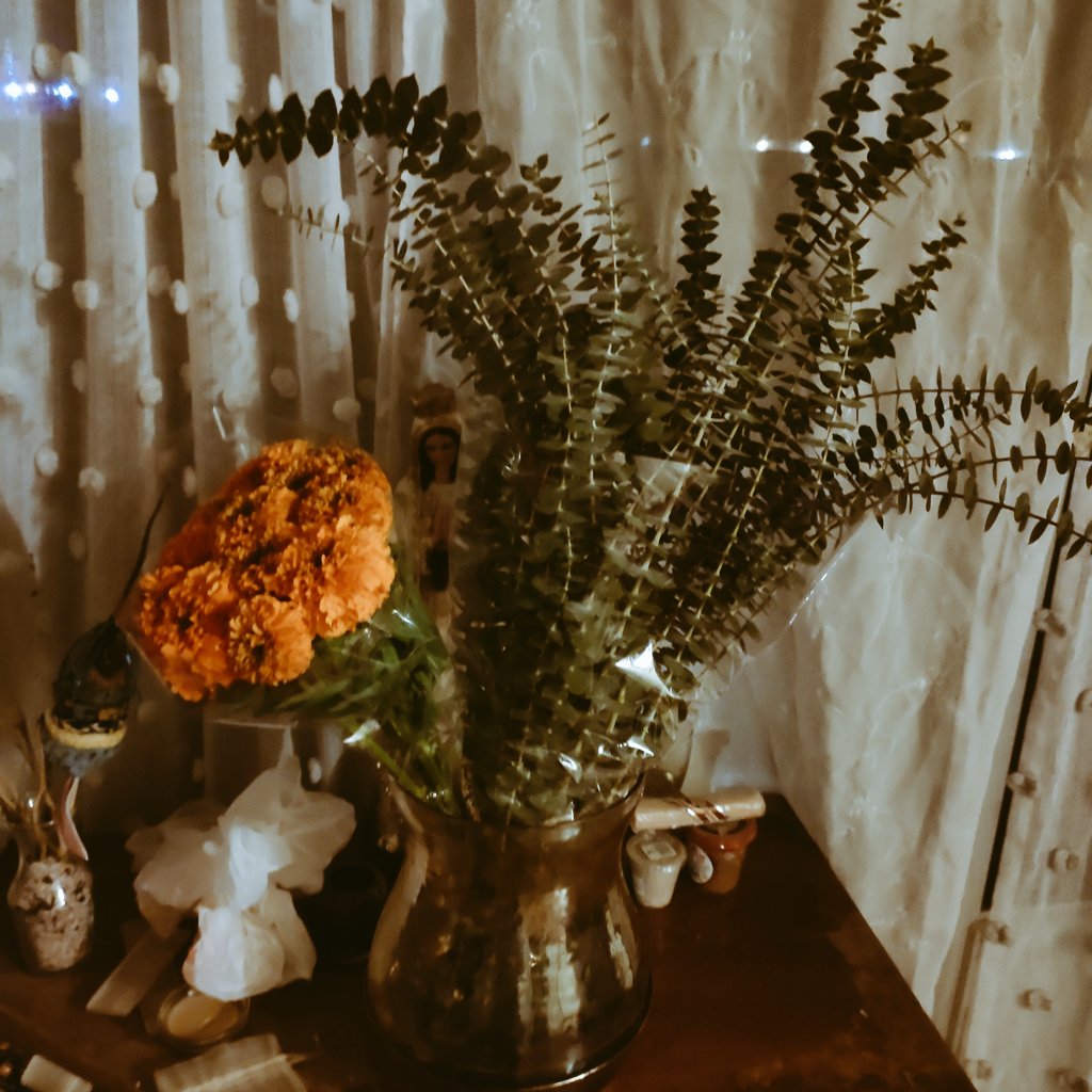 FilmJasmine's tweet photo. November is here to take me out of autopilot https://t.co/bgNZwaxqL8