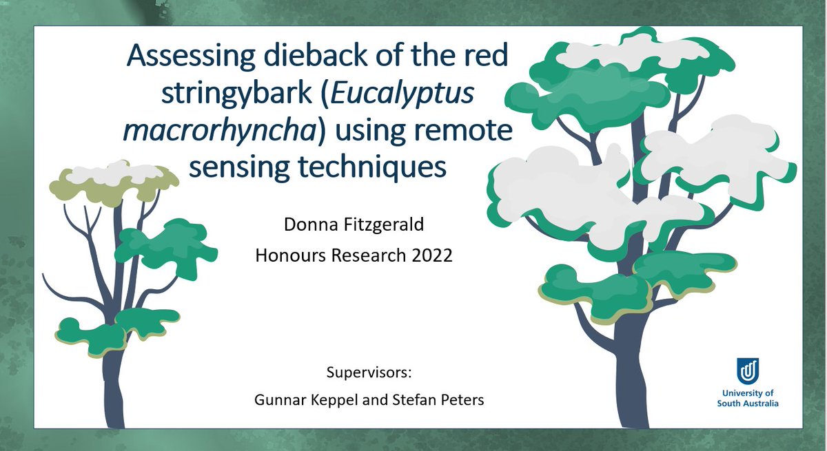 Donna Fitzgerald (@donnafitz23) on Twitter photo Delighted to finally have submitted my Honours Degree thesis.
Very grateful for my supportive supervisors <a href="/GunnarKeppel/">Gunnar Keppel</a> #StefanPeters <a href="/UniversitySA/">UniSA</a>
with the support of <a href="/PlayfordTrust/">Playford Trust</a> & @naturefsa #AirborneResearchAustralia #dieback #stringybark #remotesensing #adelaidehills Delighted to finally have submitted my Honours Degree thesis.
Very grateful for my supportive supervisors <a href="/GunnarKeppel/">Gunnar Keppel</a> #StefanPeters <a href="/UniversitySA/">UniSA</a>
with the support of <a href="/PlayfordTrust/">Playford Trust</a> & @naturefsa #AirborneResearchAustralia #dieback #stringybark #remotesensing #adelaidehills