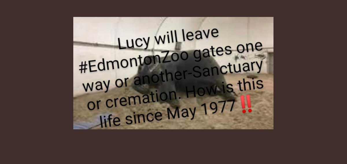 JulieKi53713414's tweet photo. *(I was just inspired by Amanda F., animal advocate).
#EdmontonZoo @BuildingOurZoo @gdewar @AonCanada @CityofEdmonton @JaneGoodallCAN @AmarjeetSohiYEG All whileTWO Sanctuaries STILL WAITfor darling Lucy who recently is e$timated to live 5-10 more year$. A$$hole$. #TruthIsKey 🐘🇨🇦 https://t.co/K2jSlyKpkz