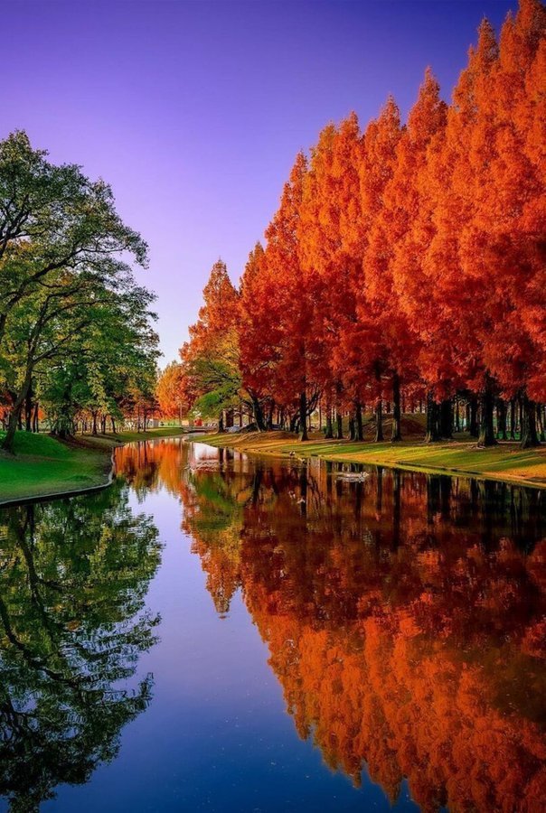 Beautiful Morning!! 🧡💚🧡