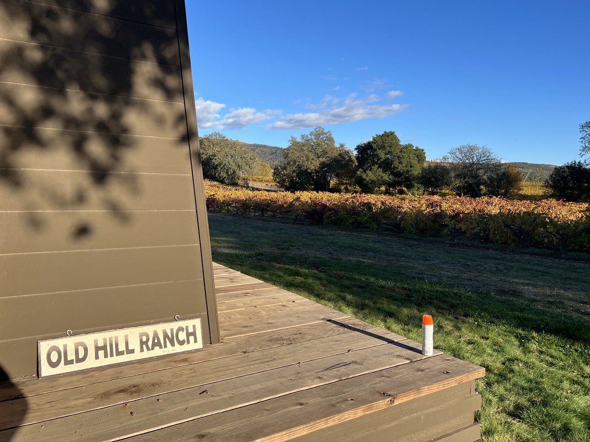 BaroloDude's tweet photo. Nice visit to some of the oldest vines in California.  Beautiful day and great field blends. #Bucklin  Playing fetch with the dogs was a bonus 👍 https://t.co/JjTyPtwonB