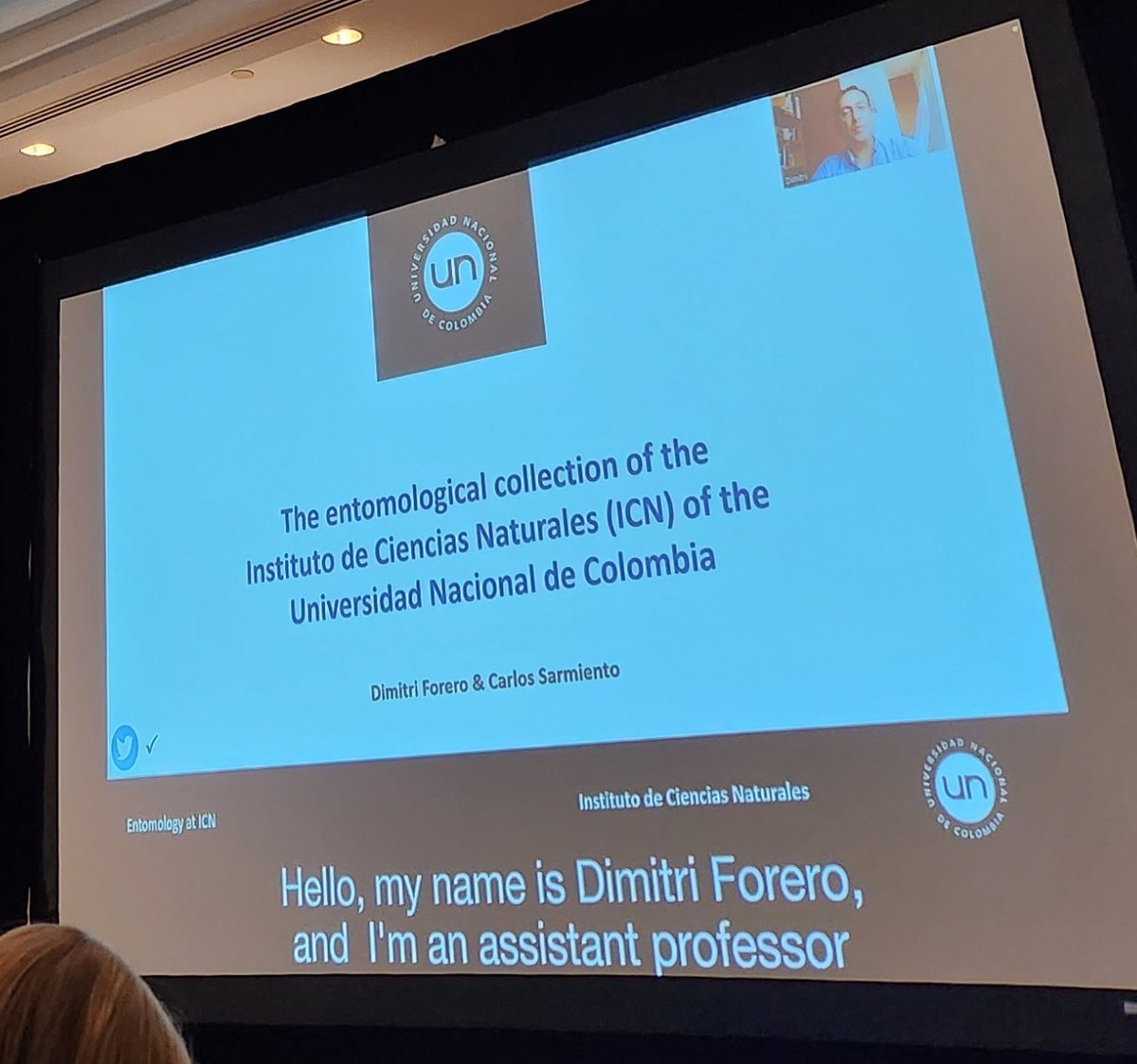 Stephanie Castillo tweet media