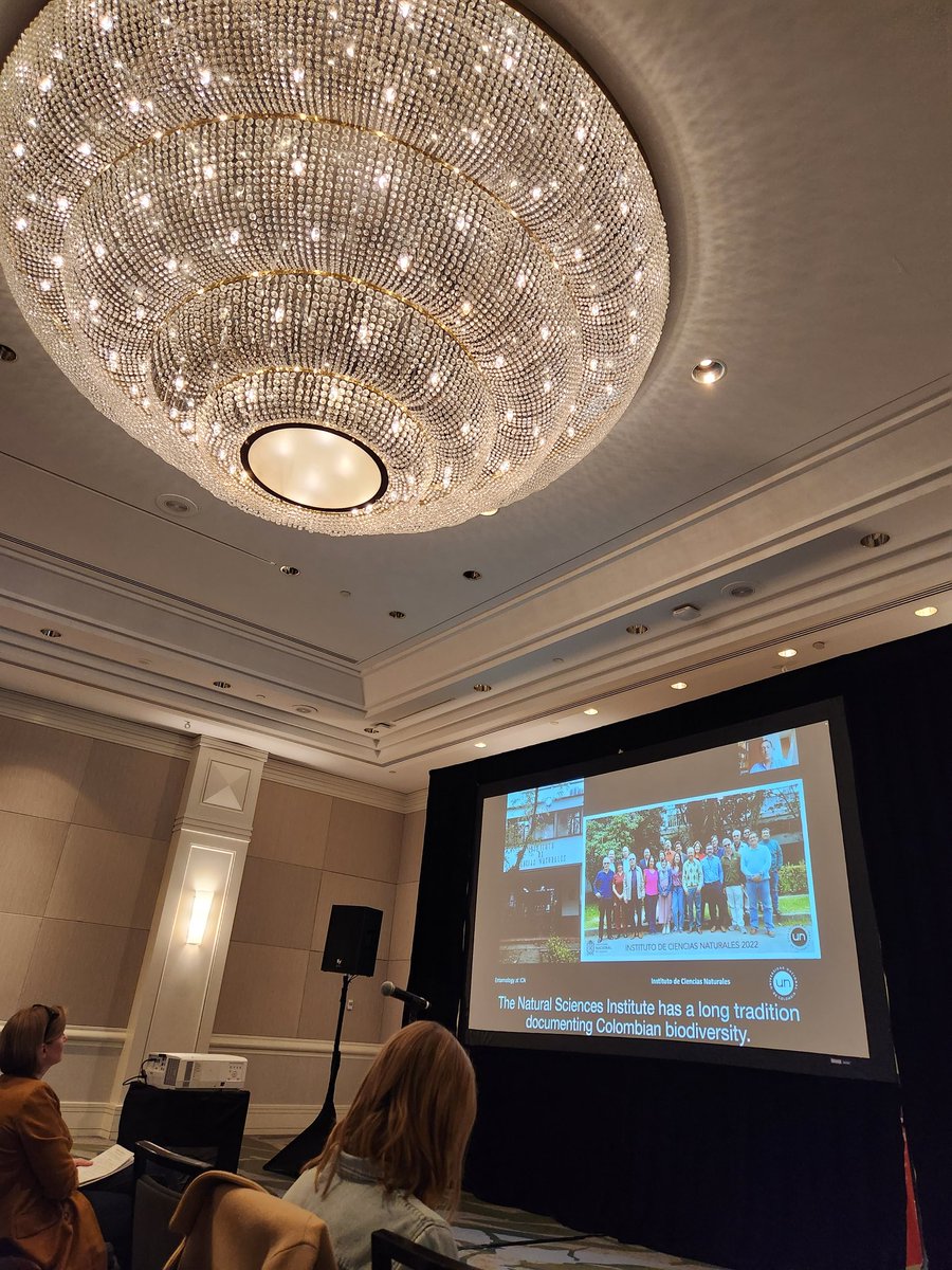 Stephanie Castillo tweet media