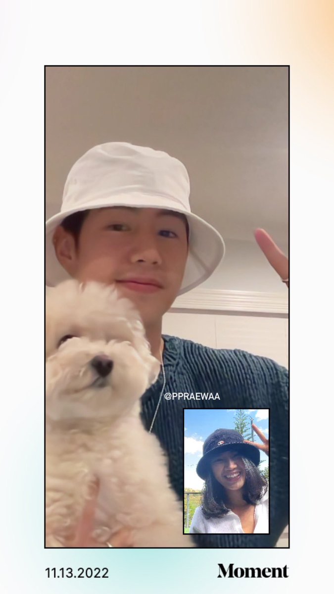 Milo2 ʕ˙Ⱉ˙ʔ (saving3) tweet media