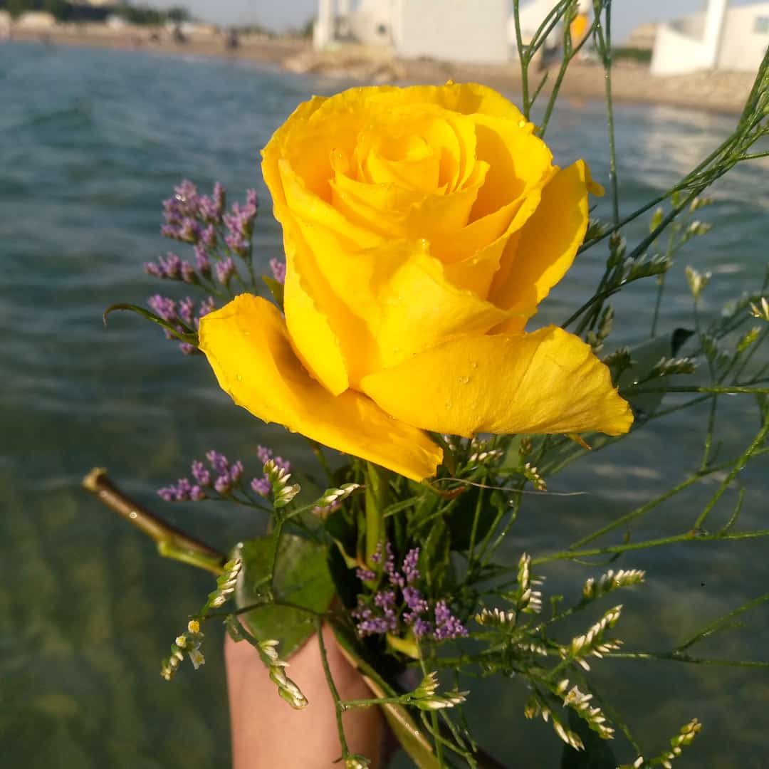 "لعلَ معروفًا صنعتهُ ثُمَ نسيتهُ مازال يحرُسك مِن ريب الدهر."