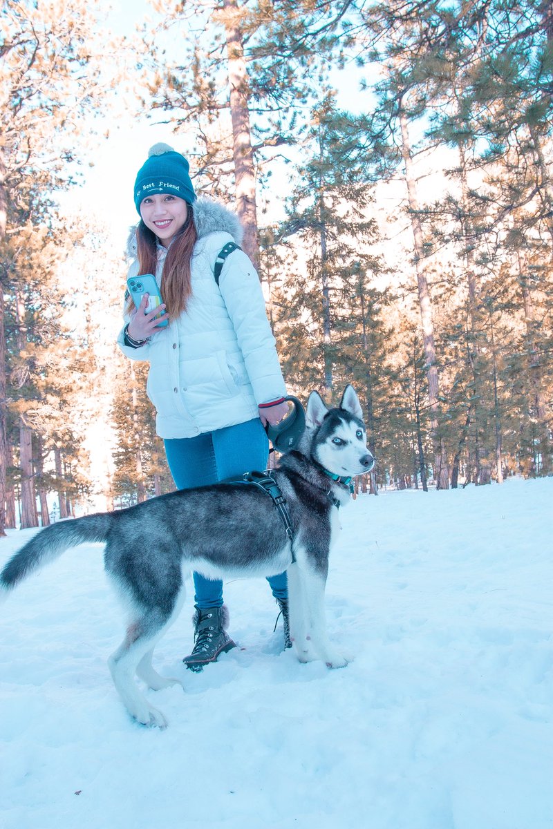 patriiciancole's tweet image. Blue’s first snow ❄️ We’ll see you soon Sky you’re still my first baby 🐕🐕 #skyandblue
