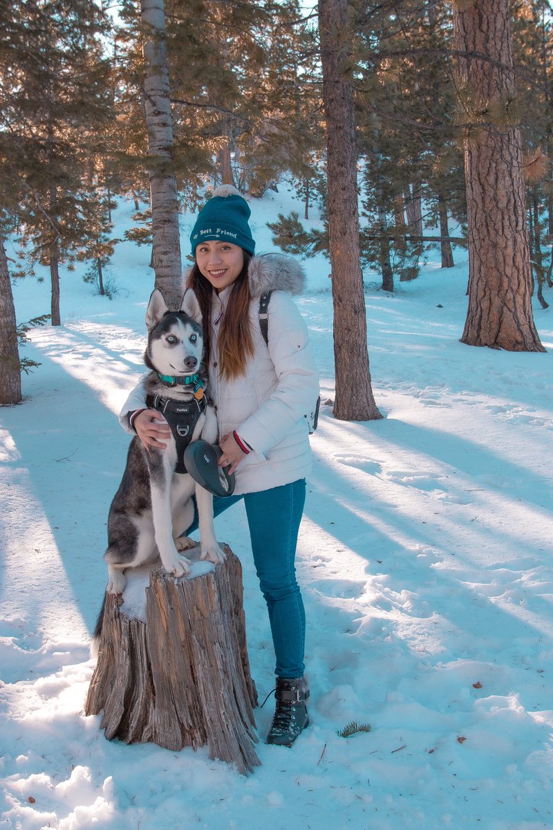 patriiciancole's tweet image. Blue’s first snow ❄️ We’ll see you soon Sky you’re still my first baby 🐕🐕 #skyandblue
