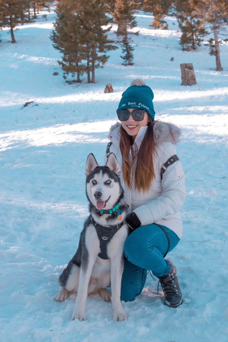 patriiciancole's tweet image. Blue’s first snow ❄️ We’ll see you soon Sky you’re still my first baby 🐕🐕 #skyandblue