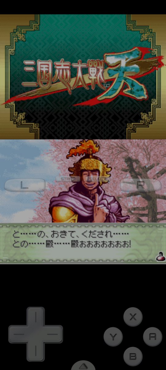 pacoworks's tweet photo. 15 years I've been waiting for this. I finally found someone who knew how to romhack my favorite NDS game and was willing to make a toolset for it.

And I can work on the translation this xmas! 🥰🥰🥰🥰 https://t.co/2GvZ1tVYsl