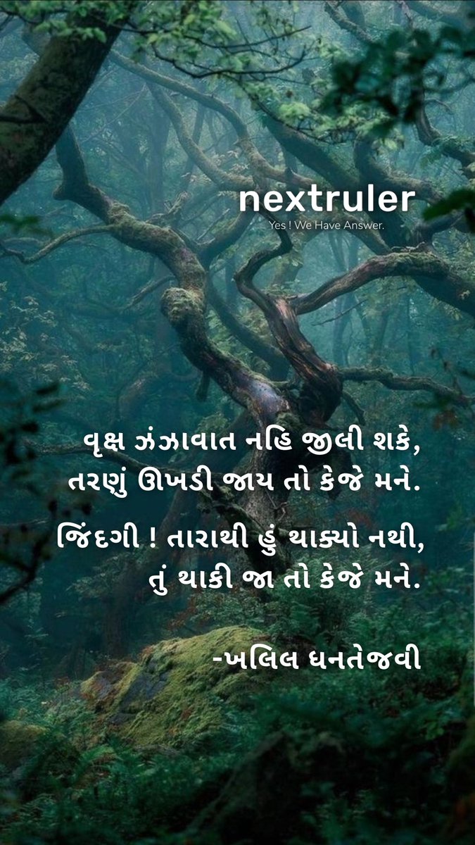 imMayursinh's tweet photo. #imMayursinh #NextRuler #Indian #Gujrati #KhalilDhantejavi #GujratiKavi #PositiveAttitude https://t.co/pXTl8pul3S
